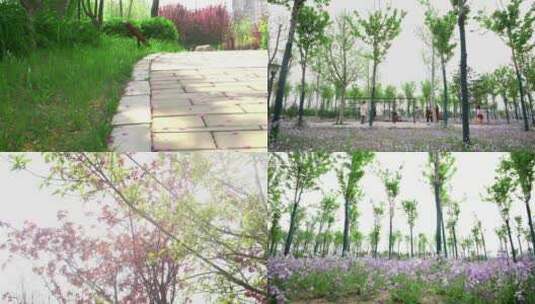 阳光下春天夏日公园空镜头高清在线视频素材下载