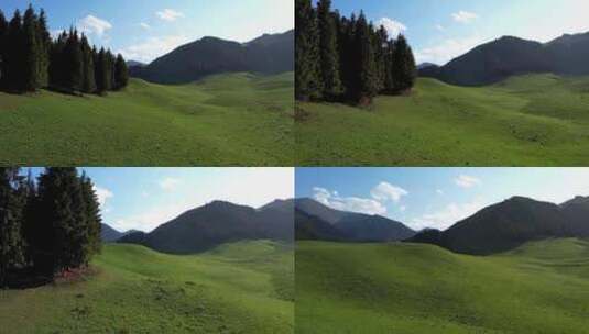 新疆是个好地方吉姆萨花儿沟草原高清在线视频素材下载