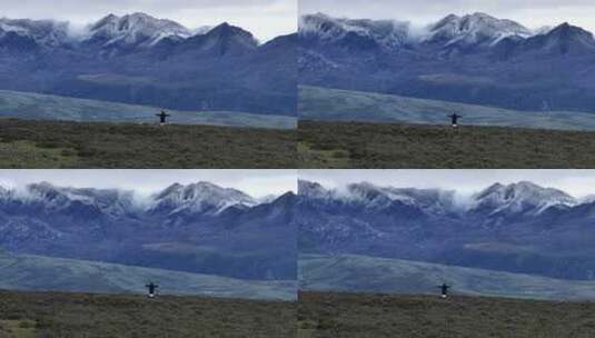 长焦航拍贡嘎雪山下的旅行者高清在线视频素材下载