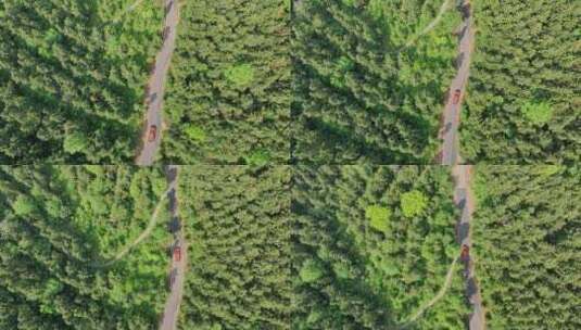 行驶在森林小路上的红色汽车/4K航拍高清在线视频素材下载