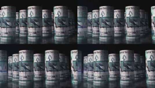 冈比亚达拉西斯钞票卷无缝循环高清在线视频素材下载