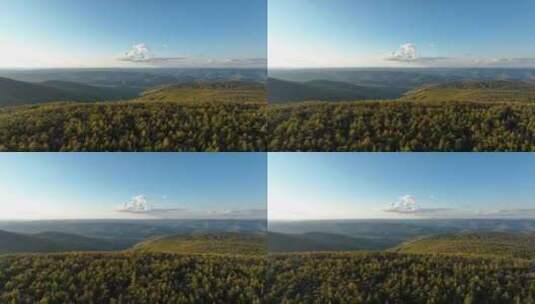 大兴安岭自然风光秋季森林天空沟壑纵横高清在线视频素材下载