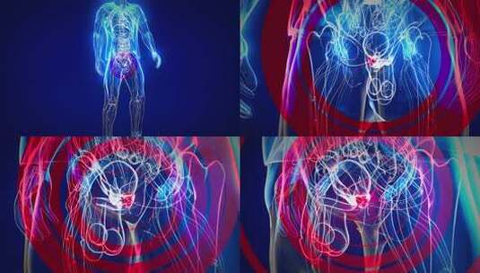 4K前列腺的抽象3D动画，高清在线视频素材下载