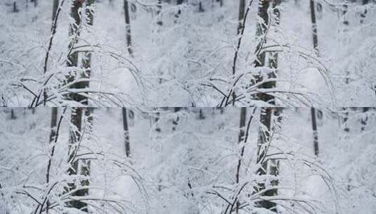 伏牛山冬季雪景雾凇高清在线视频素材下载