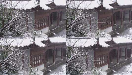 公园雪景高清在线视频素材下载