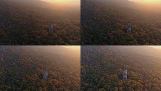 南京灵谷景区灵谷寺灵谷塔航拍高清在线视频素材下载