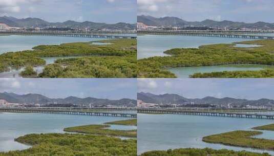 惠州盐洲海洋湿地公园-红树林湿地风光高清在线视频素材下载