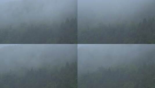 山林云雾弥漫景象 云雾山间高清在线视频素材下载