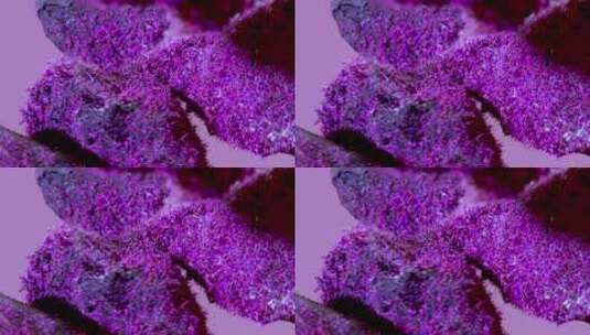 多彩物体微距特写画面高清在线视频素材下载