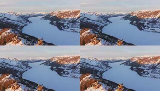 新疆阿勒泰地区喀纳斯景区雪景航拍高清在线视频素材下载