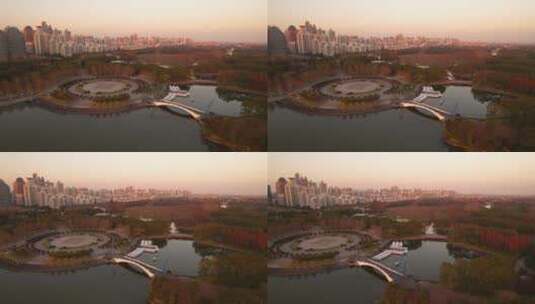 航拍上海世纪公园高清在线视频素材下载