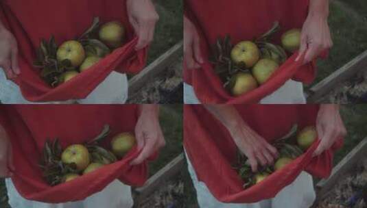 园丁收获的苹果高清在线视频素材下载