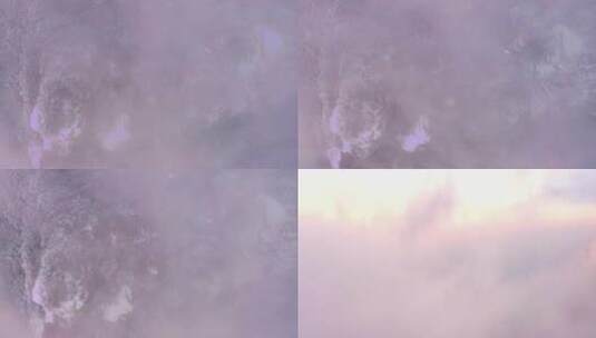 云海中的老君山高清在线视频素材下载