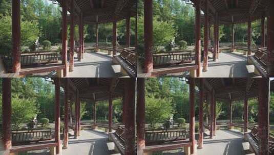 中国科学院武汉植物园联谊亭高清在线视频素材下载