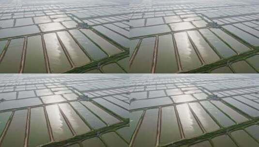 中国大型专业人工养鱼池工业农业自然风光高清在线视频素材下载