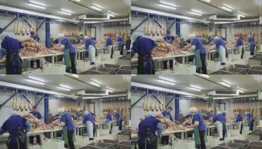 肉类工厂的员工工作高清在线视频素材下载