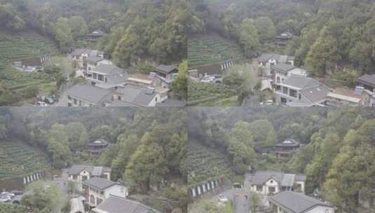 杭州西湖梅家坞茶园茶山高清在线视频素材下载