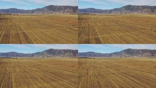 新疆阿勒泰富蕴县可可托海农场秋天景色航拍高清在线视频素材下载