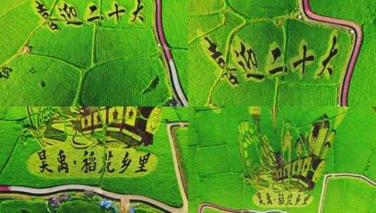 4k航拍唯美农田农业稻谷图案景区高清在线视频素材下载