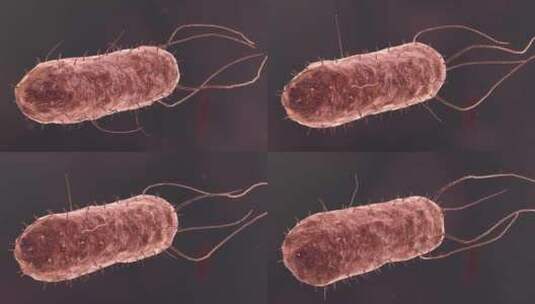 医疗病菌病毒细菌分子病原体生物三维动画高清在线视频素材下载