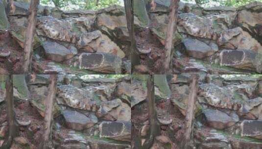 石头假山青苔中式园林造景遗址公园高清在线视频素材下载
