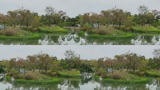 4k 扬州瘦西湖古典园林自然风景高清在线视频素材下载