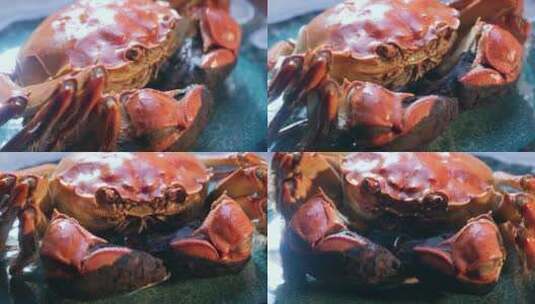 螃蟹盘子里的中秋节美食大闸蟹清蒸大闸蟹高清在线视频素材下载
