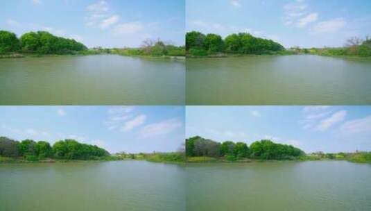 广州海珠国家湿地公园湖泊树林蓝天白云风光高清在线视频素材下载
