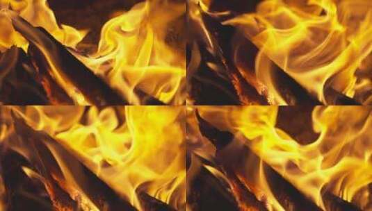 露营 火堆 烧饭 柴火4K高清在线视频素材下载
