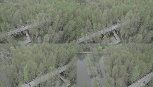 阴天下的青山湖森林风景航拍高清在线视频素材下载