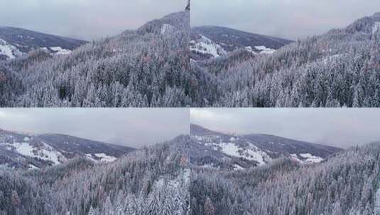 普拉格白云石山脉白雪覆盖的松树林，空中高清在线视频素材下载