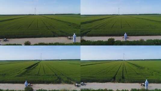 航拍无人机喷洒农药高清在线视频素材下载