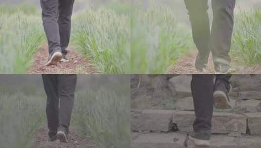行走在田间山路上的脚步特写4K素材高清在线视频素材下载