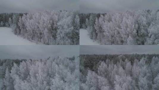 森林的冬季景观高清在线视频素材下载