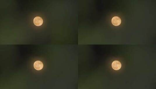 中秋月亮透过树叶月亮十五月亮赏月满月圆月高清在线视频素材下载