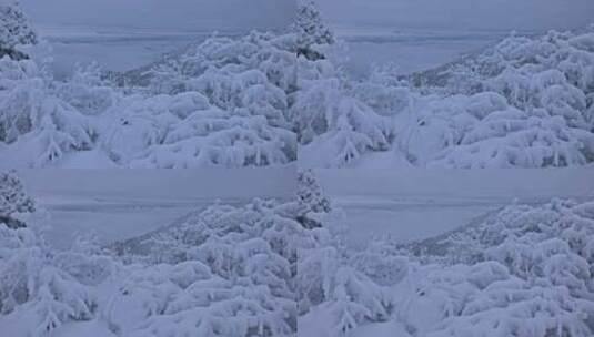 杭州牵牛岗群山森林雪景云海延时高清在线视频素材下载