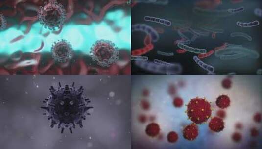 【合集】3d细菌病毒细胞动画高清在线视频素材下载