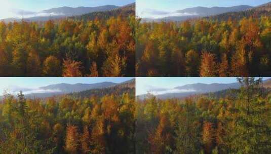 秋日层林尽染的秋天风光高清在线视频素材下载