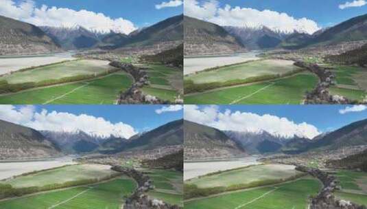 西藏林芝雪山桃花花海和乡村田园风光高清在线视频素材下载