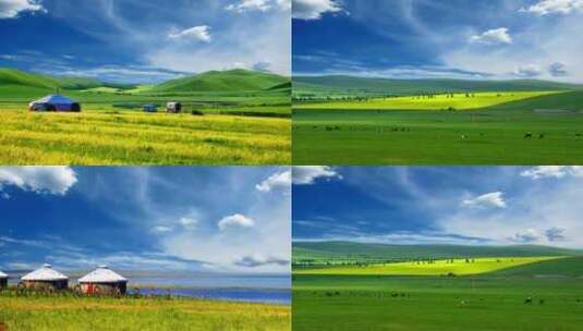 风景 大草原 内蒙古草原 放牧自然风景高清在线视频素材下载