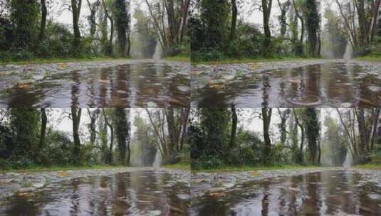 秋天落叶高清在线视频素材下载