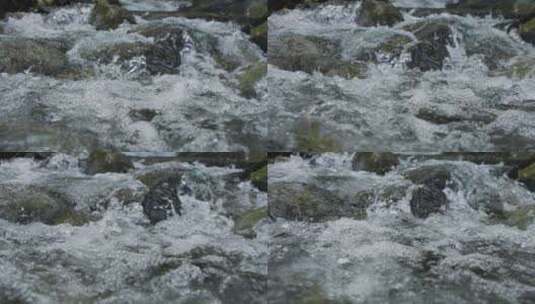 小溪水滴流水高清在线视频素材下载