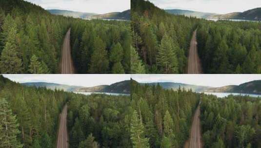 航拍森林公路高清在线视频素材下载