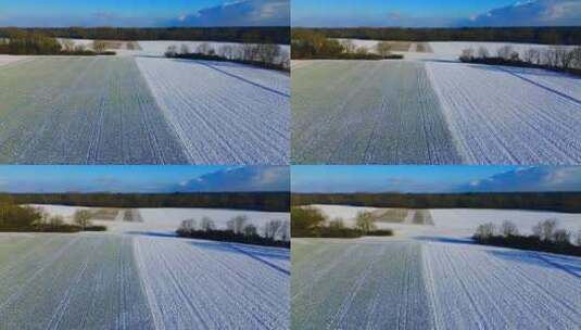 农田上的冬天：积雪作物行的鸟瞰图高清在线视频素材下载