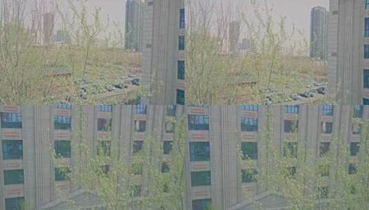 城市建筑风景4K视频素材高清在线视频素材下载