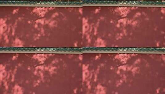 复古红墙树影背景高清在线视频素材下载