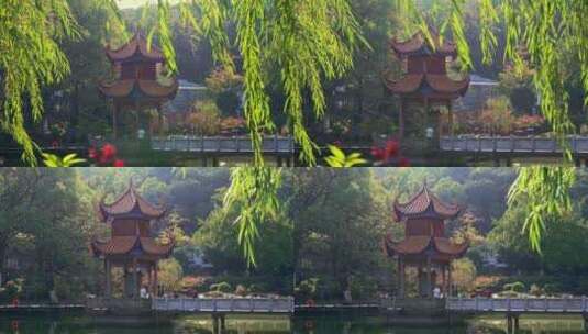 中式园林杨柳池塘亭子高清在线视频素材下载