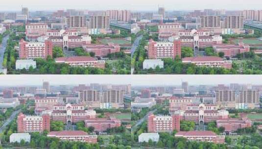 航拍上海中医药大学 中医大学 上海医学院高清在线视频素材下载