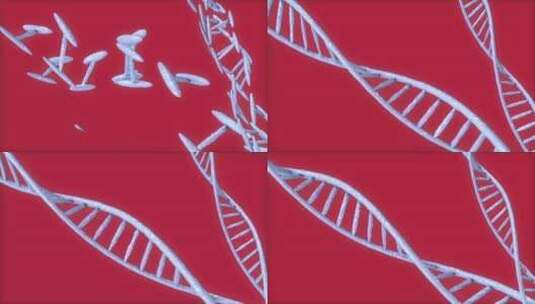DNA螺旋结构3d模拟4高清在线视频素材下载