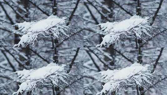 伏牛山冬季雪景雾凇高清在线视频素材下载